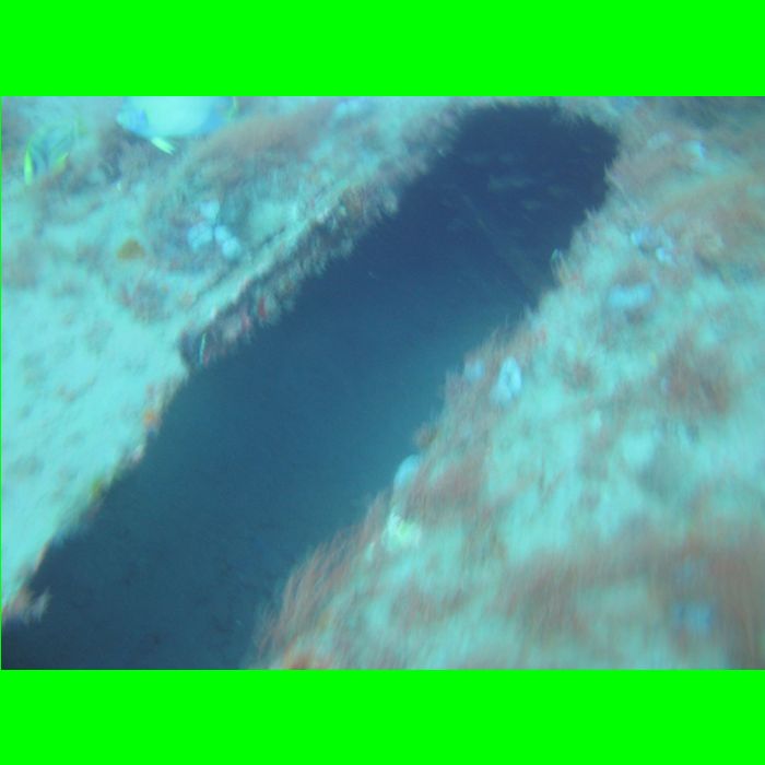 Dive WP Wrecks 25-Oct-09_419.JPG